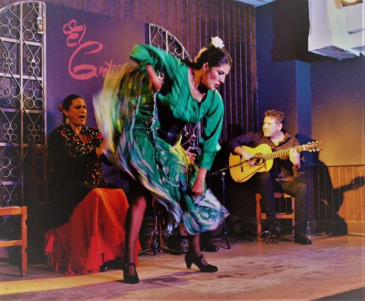 Madrid: Flamenco Workshop and Show at Taberna El Cortijo - Experience Highlights