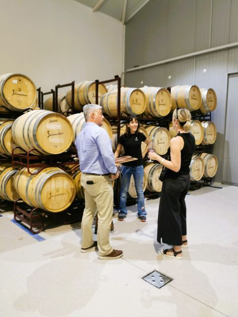 Madrid: Half Day Wine Region Tour - Expert Guide and Winemaker Insights