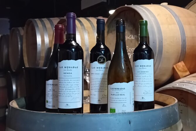 Madrid Half Day Wine Tour in English - Questions and Support