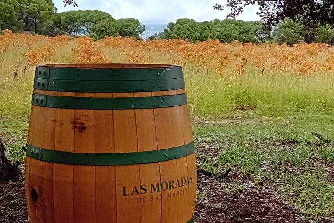 Madrid Half Day Wine Tour in English - Directions