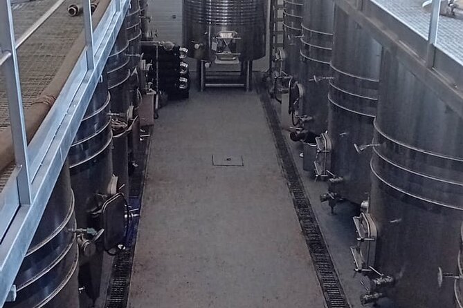 Madrid Half Day Wine Tour in English - The Sum Up