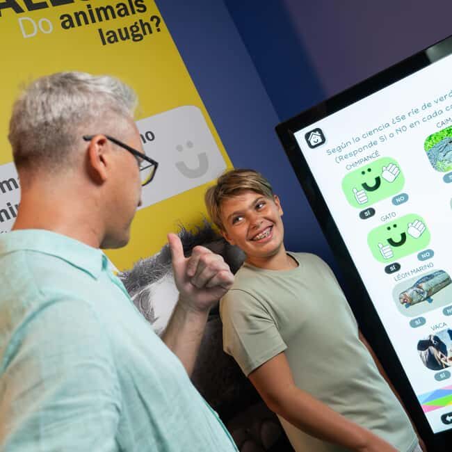 Madrid: Happiness Museum Interactive Experience Ticket - Location and Accessibility