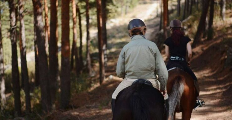 Madrid: Horse Riding in Sierra Del Guadarrama National Park - Highlights of the Activity