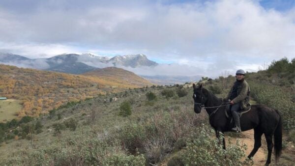Madrid: Horse Riding in Sierra Del Guadarrama National Park - Directions