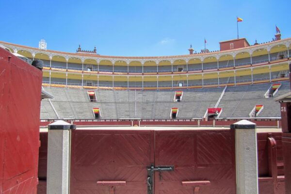 Madrid: Las Ventas Bullring and Museum Tour - Inclusions