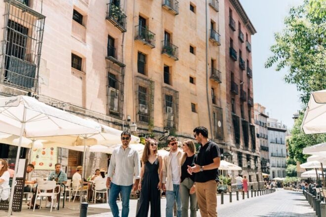Madrid: Local Tapas and Wine Tour With Drinks & Views - Immerse Yourself in the Local Culture and History
