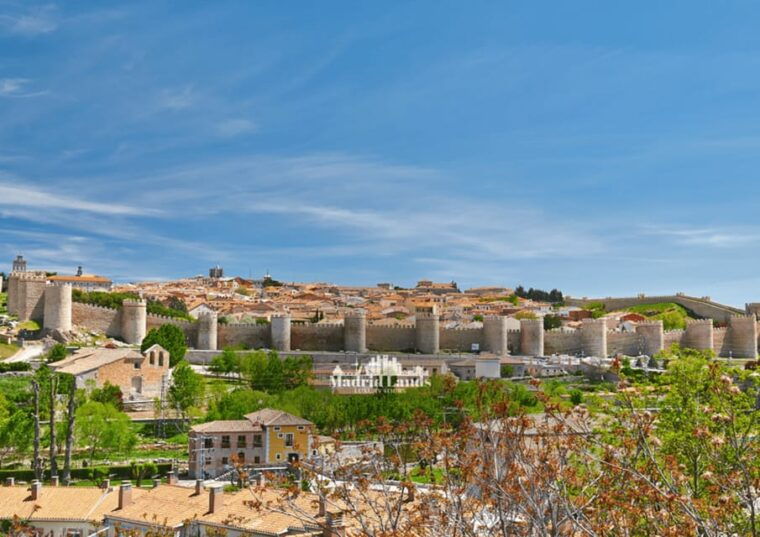 Madrid: Luxury Tour Ávila & Segovia - Gastronomic Experience