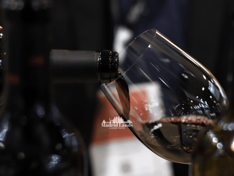Madrid: Luxury Winery Emilio Moro Tour - Detailed Experience