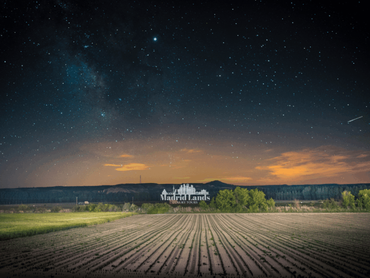 Madrid: Luxury Winner and Ribera Del Duero Tour - Vineyard Tour and Regional Expertise