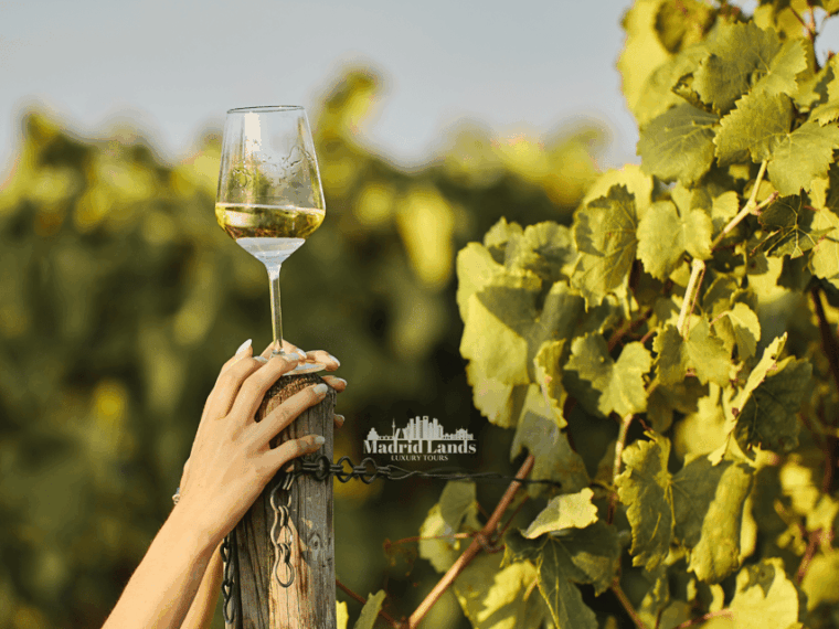 Madrid: Luxury Winnery & Toledo Tour - Common Questions