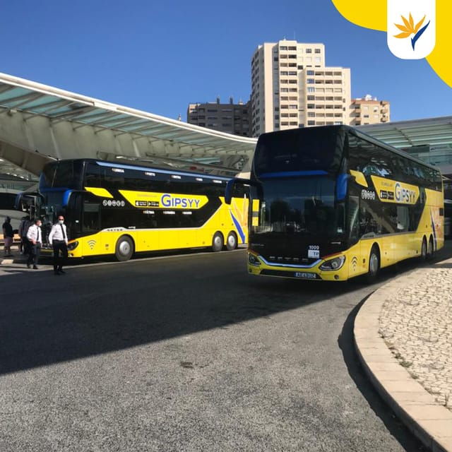 Madrid: Madrid To/From Porto Campanha - Bus Comfort and Amenities