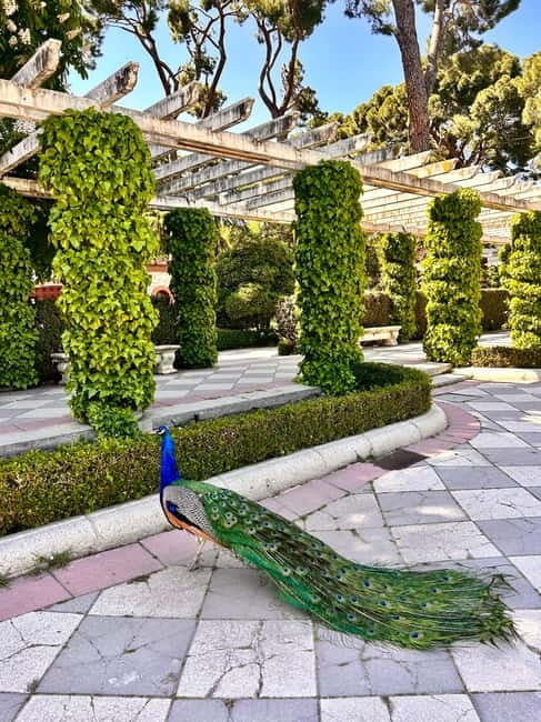 Madrid: Magic Retiro Park Bike Tour - What to Expect on the Ride  