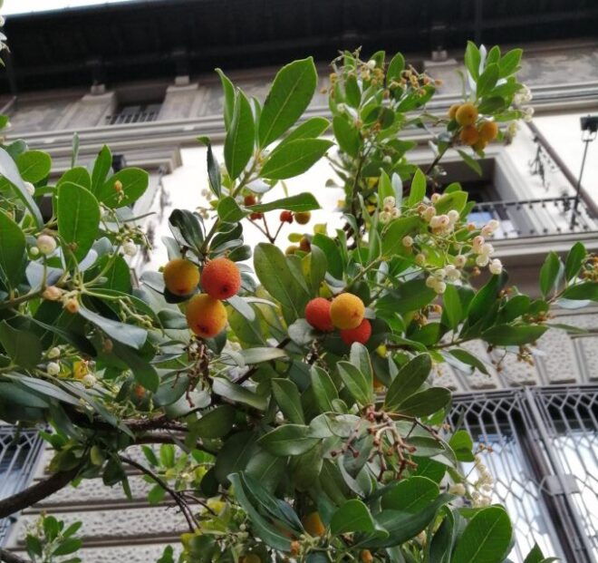 Madrid: Manzanares River's Story Self-Guided Audio Tour - Important Info