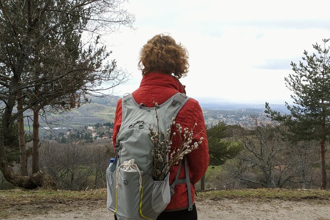 Madrid Mountains Free Walking Tour - Tour Details