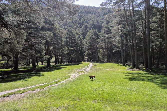 Madrid Mountains Free Walking Tour - Meeting and Pickup
