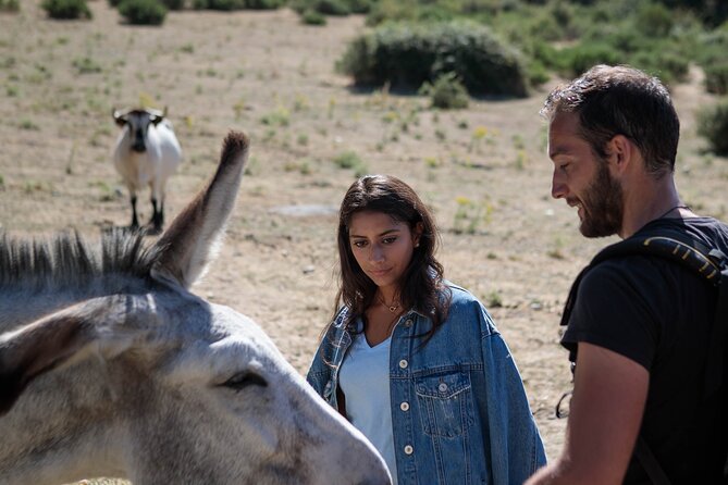 Madrid Mountains Free Walking Tour - Cancellation Policy