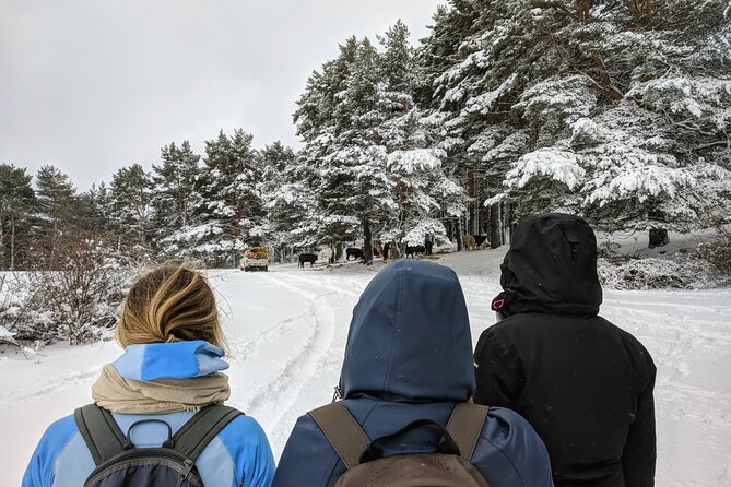 Madrid Mountains Free Walking Tour - Reviews