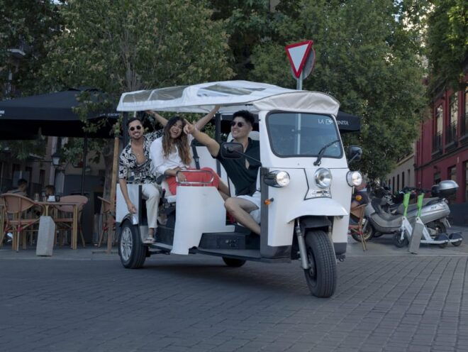 Madrid: Panoramic Views in Tuk Tuk - Pickup and Logistics