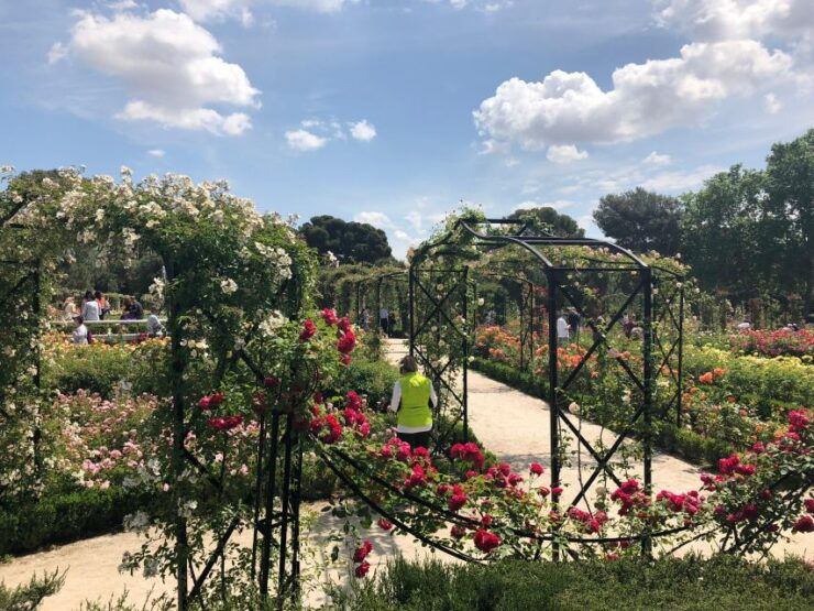 Madrid: Prado Avenue and Retiro Park Guided Walking Tour - Tour Details