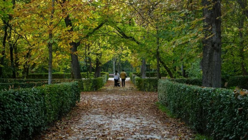 Madrid: Private Retiro Park Tour With Local Guide - Exploring Madrid’s Retiro Park: An Authentic Guide