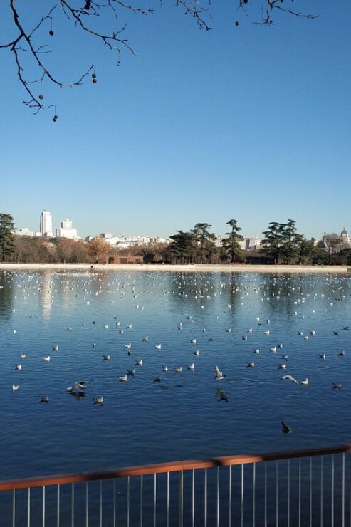 Madrid: Private Royal Palace Tour With Iberian Ham and Wine - Activity Details