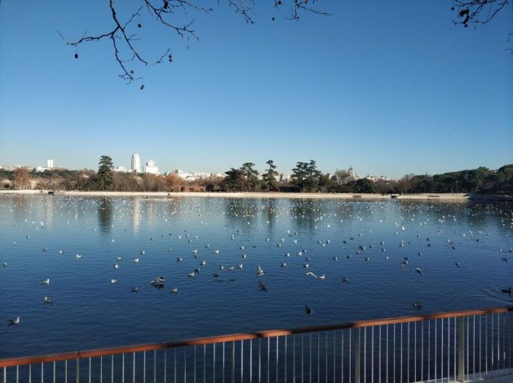 Madrid: Private Royal Palace Tour With Iberian Ham and Wine - Booking Details for the Palace Tour