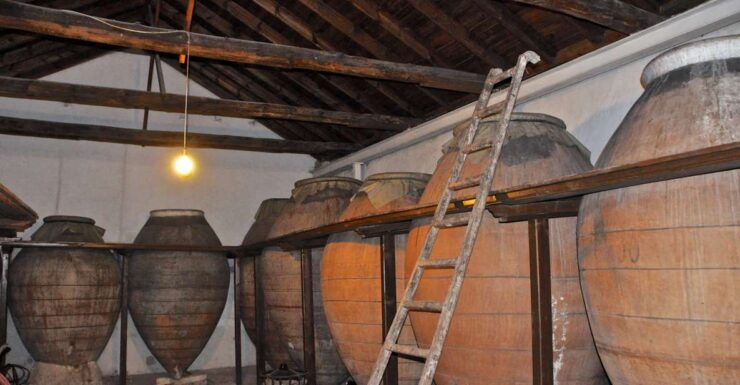 Madrid Region Wineries: Guided Tour and Tastings - Activity Details