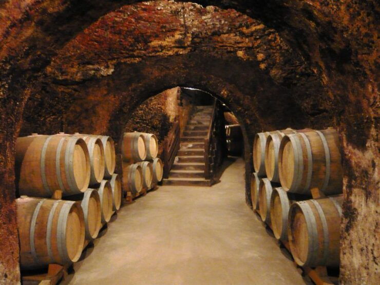 Madrid Region Wineries: Guided Tour and Tastings - Experience