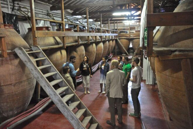 Madrid Region Wineries: Guided Tour and Tastings - Customer Reviews