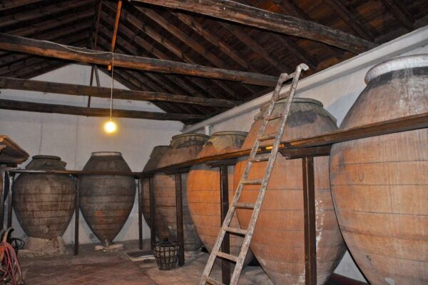 Madrid Region Wineries: Guided Tour and Tastings - Pricing and Reservations