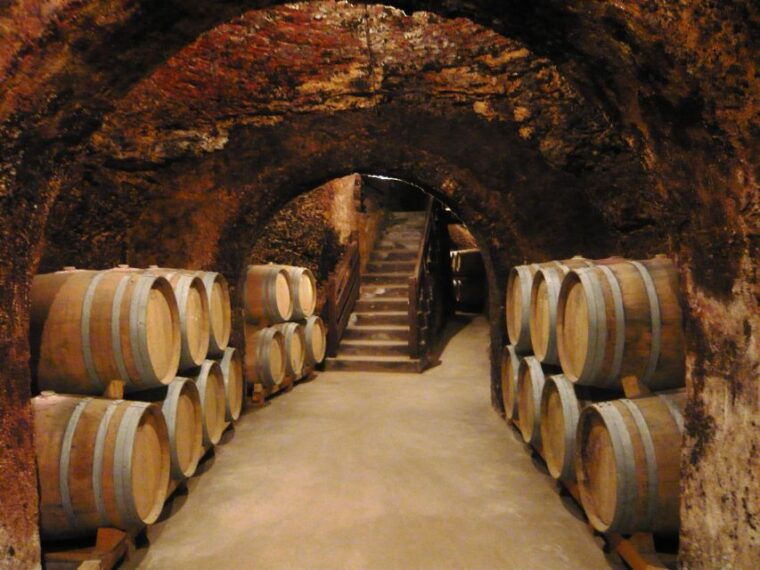 Madrid: Regional Madrid Wineries Guided Tour and Tastings - Historical Context of Madrids Winemaking