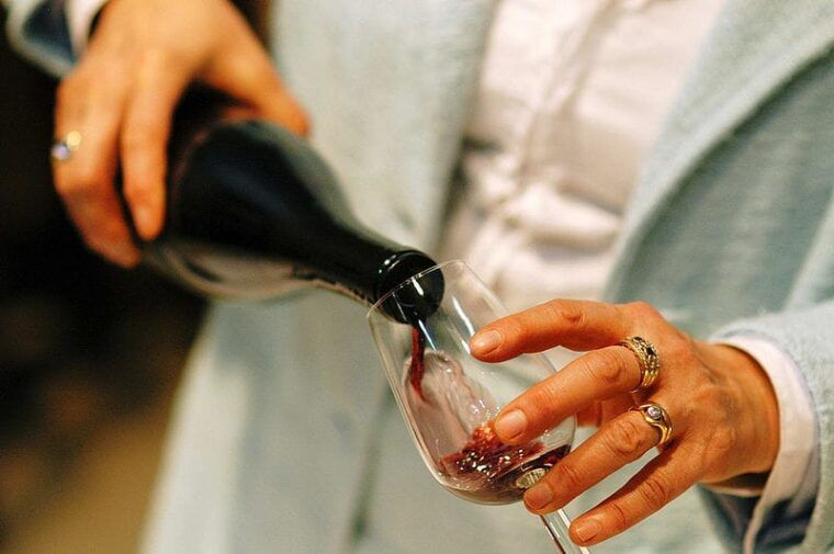 Madrid: Regional Madrid Wineries Guided Tour and Tastings - Positive Customer Reviews and Ratings
