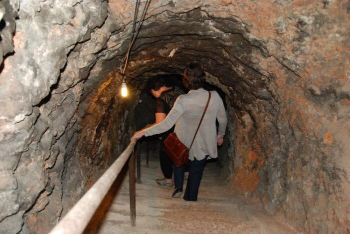 Madrid: Regional Madrid Wineries Guided Tour and Tastings - Getting to the Wineries and Enjoying the Experience