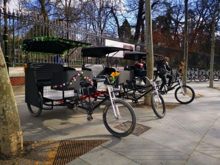 Madrid: Rickshaw Tour Through Retiro Park - Tour Description