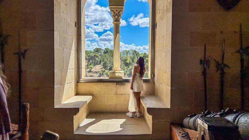 Madrid: Segovia & Ávila Full Day with Alcázar & Wall Tickets - Final Thoughts