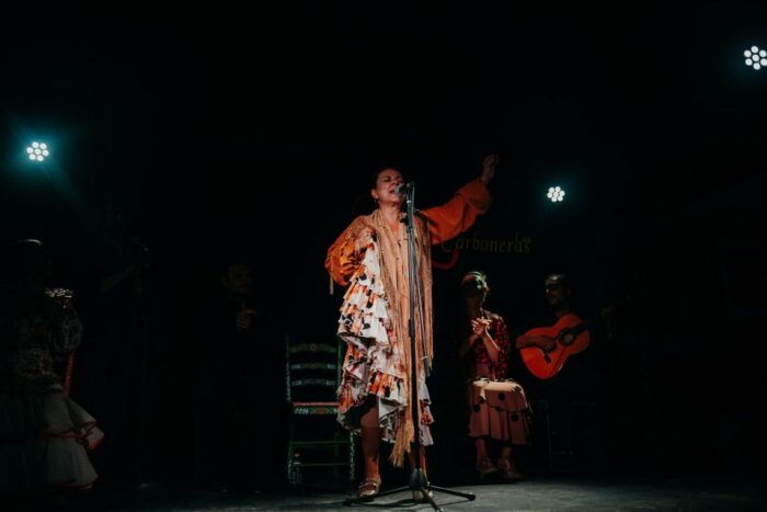 Madrid: Tapas Tour & Authentic Flamenco Experience - Common Questions