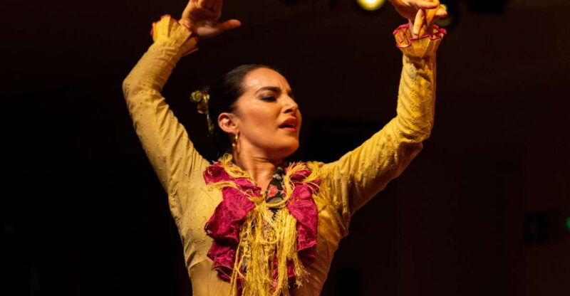 Madrid: The Villa Flamenco Show Tablao - Good To Know