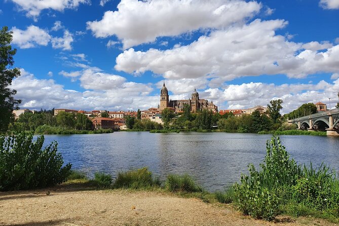 Madrid to Porto up to 2 Stops (Avila and Salamanca) - Pricing and Booking Details