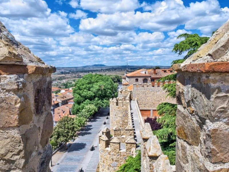 Madrid: Tour in Avila & Salamanca - Itinerary Details