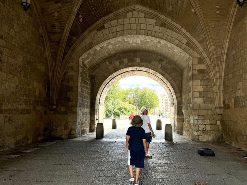 Madrid: Tour to Burgos, Vivar Del Cid, Monastery of Cardeña, Cid Campeador - Cid Campeador and Burgos History