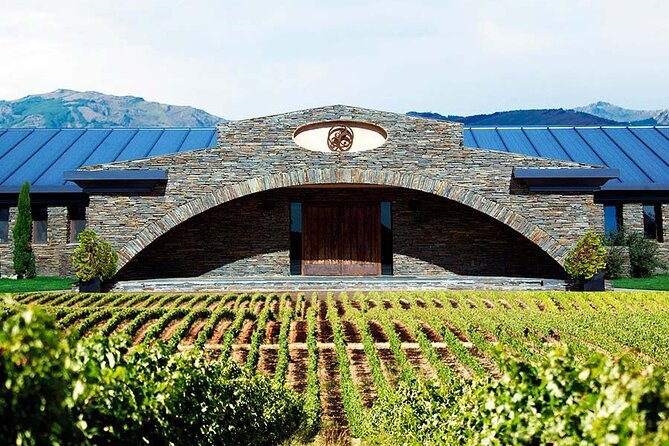 Madrid Winery and Lunch Experience - Vineyard Exploration