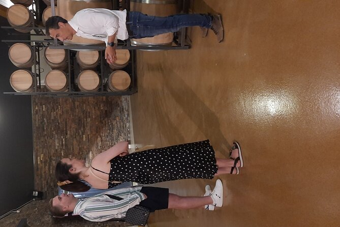 Madrid Winery and Lunch Experience - Wine Pairing