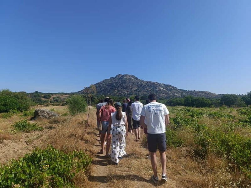 Madrid Winery Tour: Visit & Tasting With Sommelier Guide - What You Can Expect from the Madrid Winery Tour