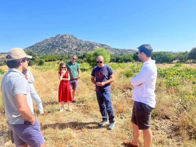 Madrid Winery Tour: Visit & Tasting With Sommelier Guide - Practical Tips for Booking and Making the Most of Your Tour