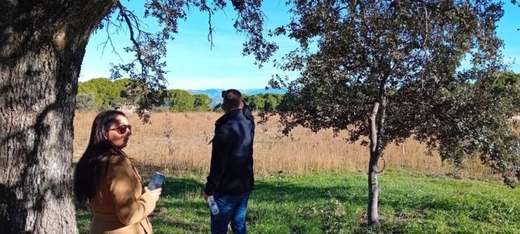 Madrid: Winery Visit Inc. Pickup & Drop-Off - Booking Details