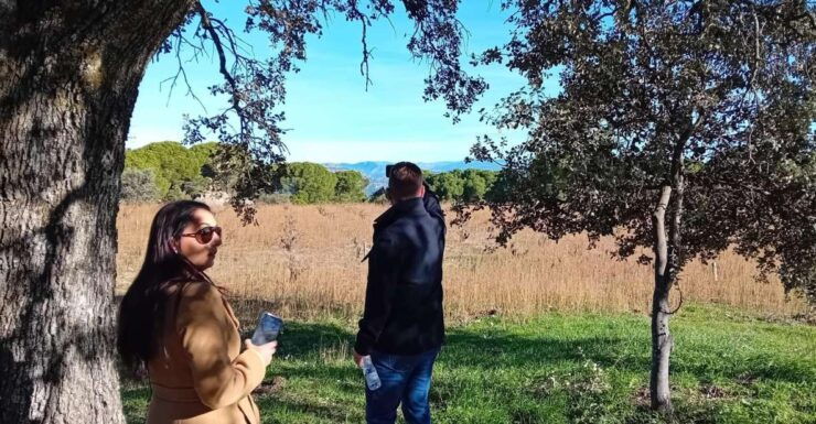 Madrid: Winery Visit Inc. Pickup & Drop-Off - Activity Highlights