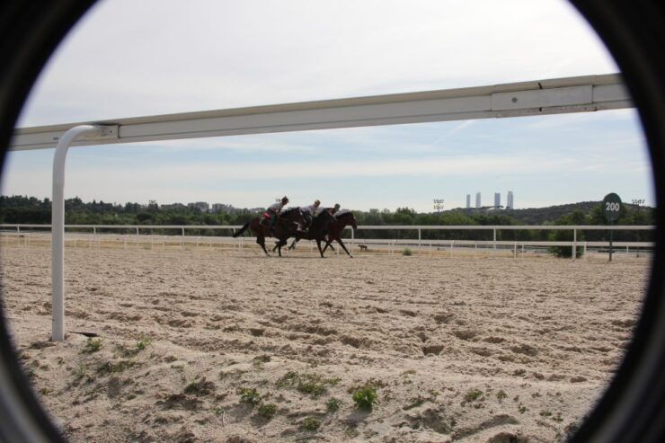 Madrid: Zarzuelas Racecourse Guided Tour - Tour Itinerary