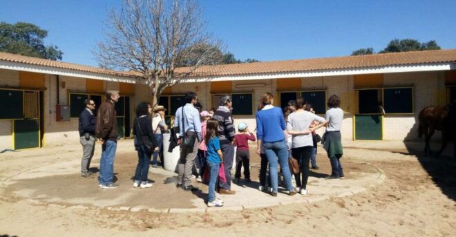 Madrid: Zarzuelas Racecourse Guided Tour - Customer Reviews