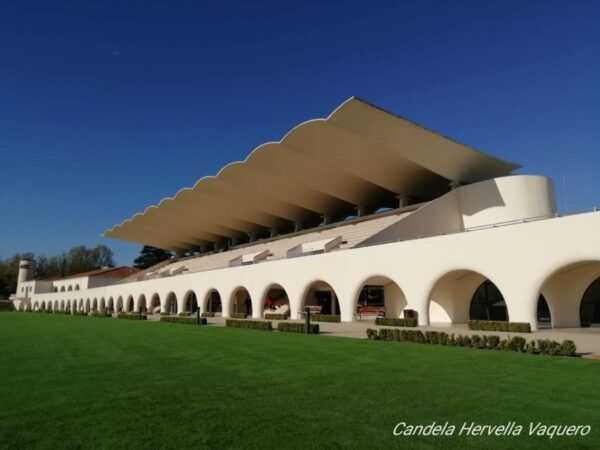 Madrid: Zarzuelas Racecourse Guided Tour - Activities