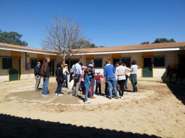 Madrid: Zarzuelas Racecourse Guided Tour - Frequently Asked Questions